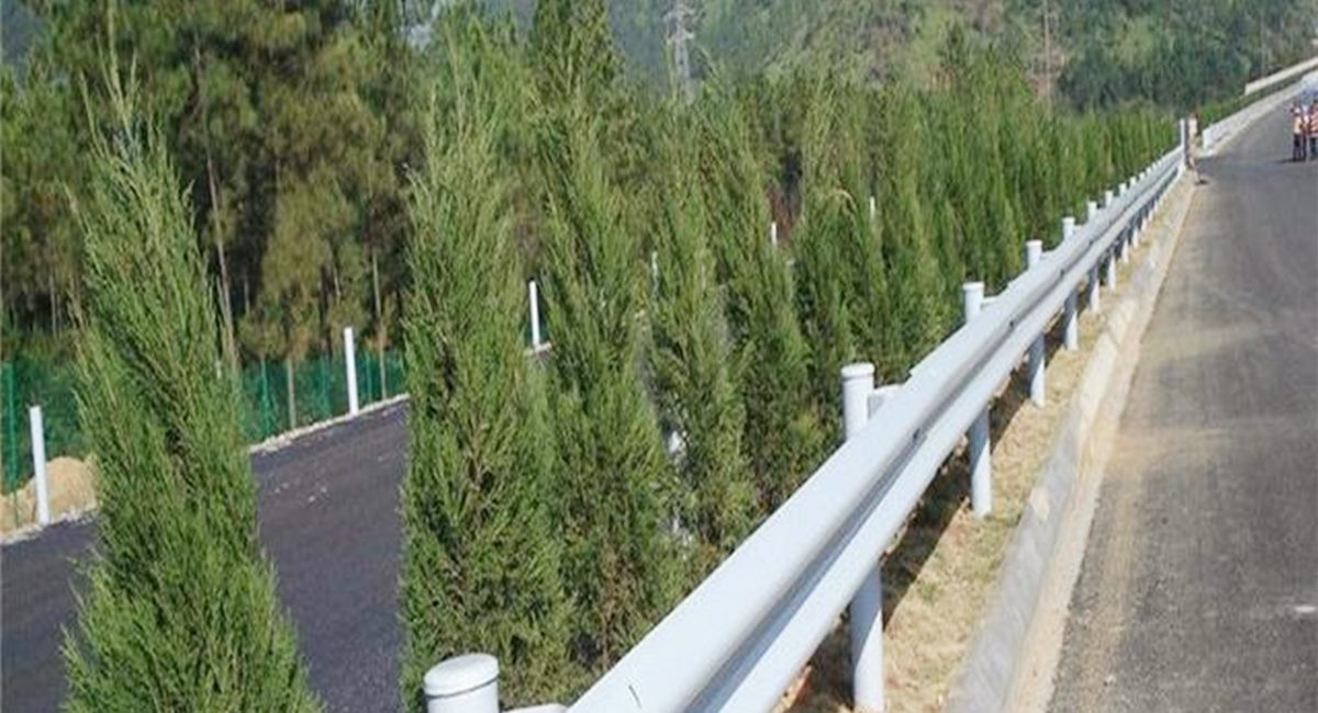 波形護(hù)欄板、鄉(xiāng)村道路護(hù)欄、單波護(hù)欄板世騰加工定制